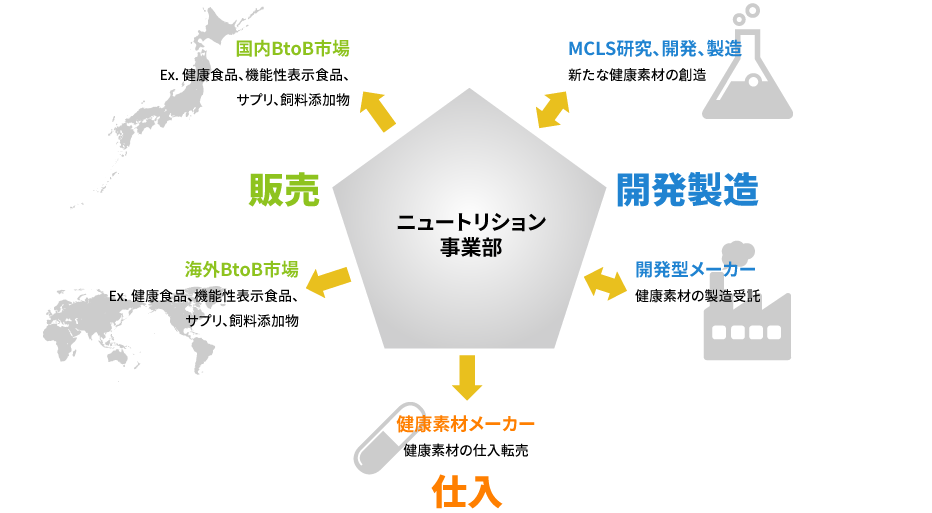 ニュートリション事業部では国内外BtoB市場への販売、自社および受託での開発製造、健康素材メーカーへの仕入転売などを行っています。