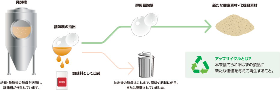 調味料抽出後の酵母細胞壁を、新たに健康素材や化粧品向けのアップサイクル原料としています。
