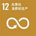 12. 负责任消费和生产